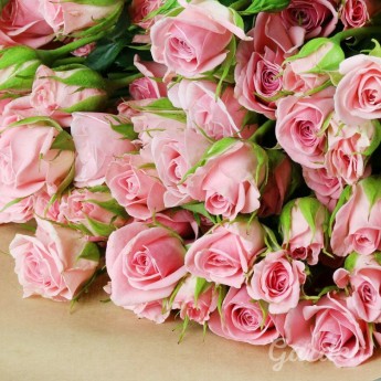 15 розовых кустовых роз в крафте